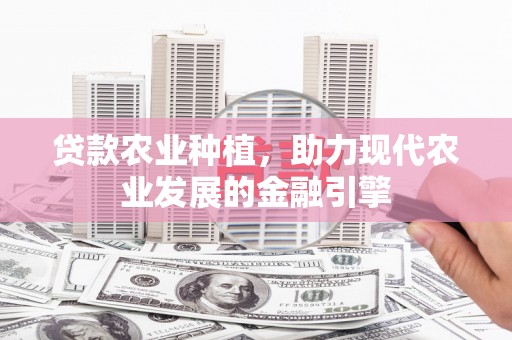 崖州贷款农业种植，助力现代农业发展的金融引擎