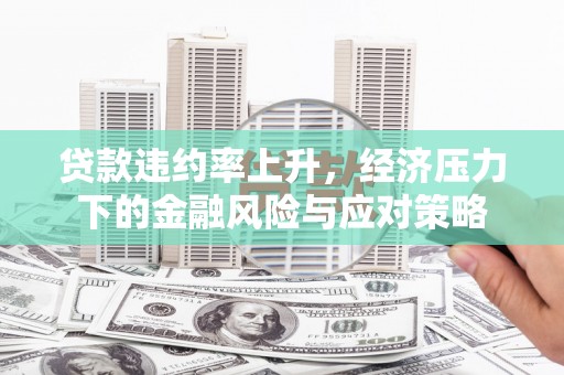崖州贷款违约率上升，经济压力下的金融风险与应对策略
