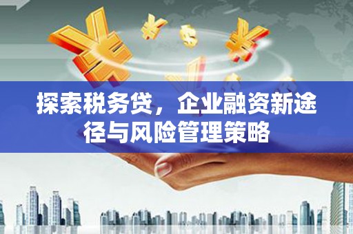 崖州探索税务贷，企业融资新途径与风险管理策略