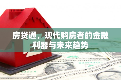 崖州房贷通，现代购房者的金融利器与未来趋势