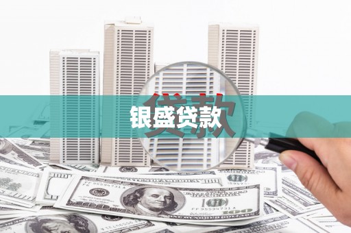崖州银盛贷款