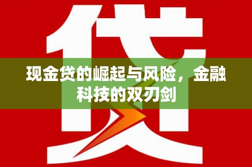 崖州现金贷的崛起与风险，金融科技的双刃剑