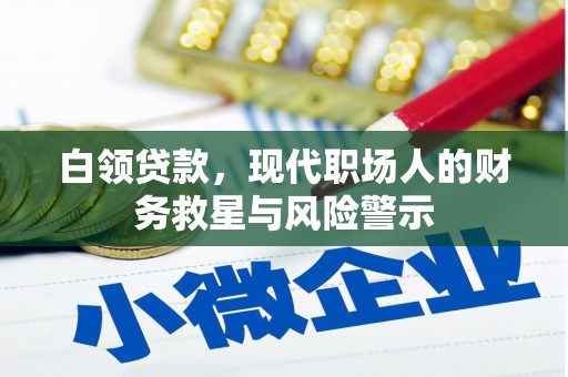 崖州白领贷款，现代职场人的财务救星与风险警示