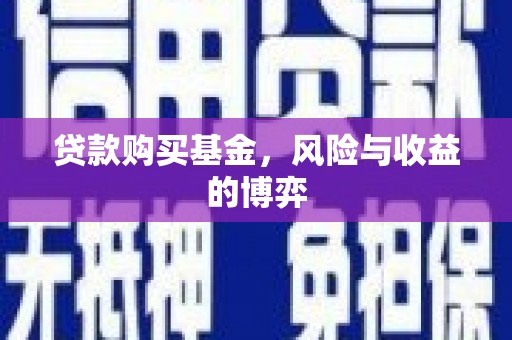 崖州贷款购买基金，风险与收益的博弈