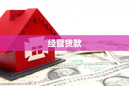 崖州经营贷款