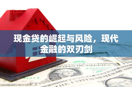 崖州现金贷的崛起与风险，现代金融的双刃剑