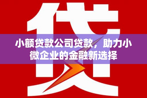 崖州小额贷款公司贷款，助力小微企业的金融新选择