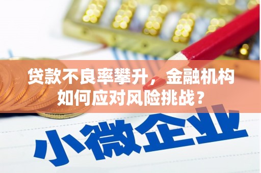 崖州贷款不良率攀升，金融机构如何应对风险挑战？
