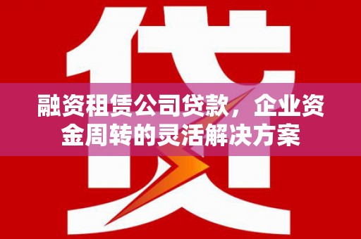 崖州融资租赁公司贷款，企业资金周转的灵活解决方案