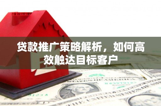 崖州贷款推广策略解析，如何高效触达目标客户