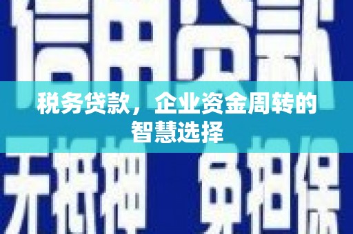 崖州税务贷款，企业资金周转的智慧选择