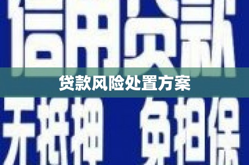 崖州贷款风险处置方案