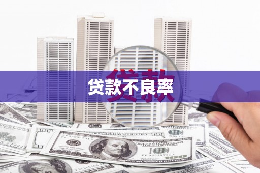 崖州贷款不良率