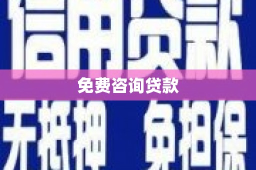 崖州免费咨询贷款