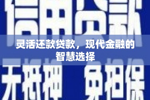 崖州灵活还款贷款，现代金融的智慧选择