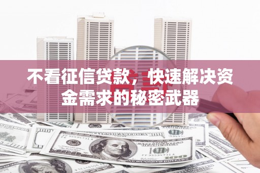 崖州不看征信贷款，快速解决资金需求的秘密武器