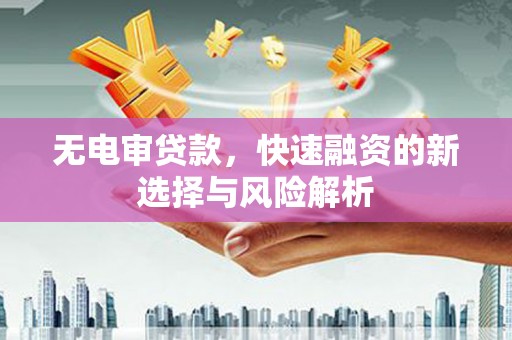 崖州无电审贷款，快速融资的新选择与风险解析