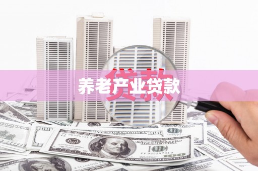 崖州养老产业贷款