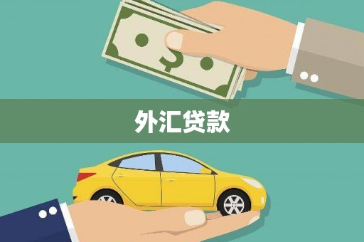 崖州外汇贷款