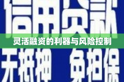 崖州灵活融资的利器与风险控制