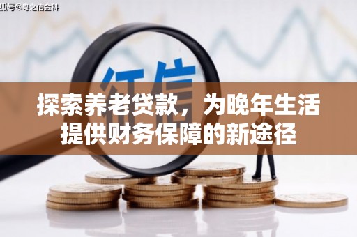 崖州探索养老贷款，为晚年生活提供财务保障的新途径