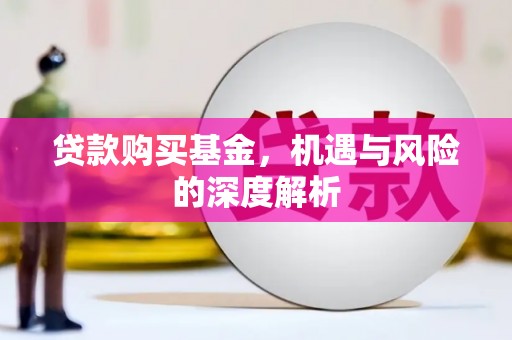 崖州贷款购买基金，机遇与风险的深度解析