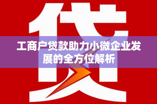 崖州工商户贷款助力小微企业发展的全方位解析