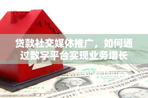 崖州贷款社交媒体推广，如何通过数字平台实现业务增长