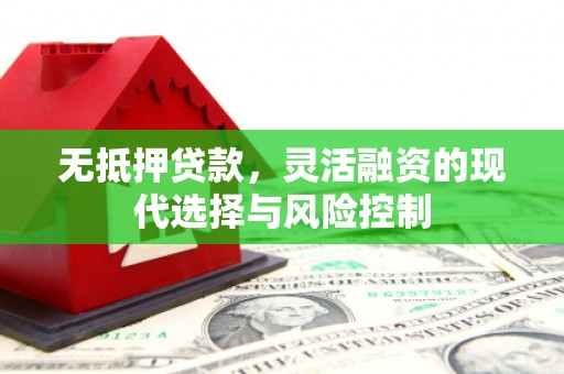 崖州无抵押贷款，灵活融资的现代选择与风险控制
