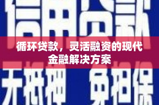 崖州循环贷款，灵活融资的现代金融解决方案
