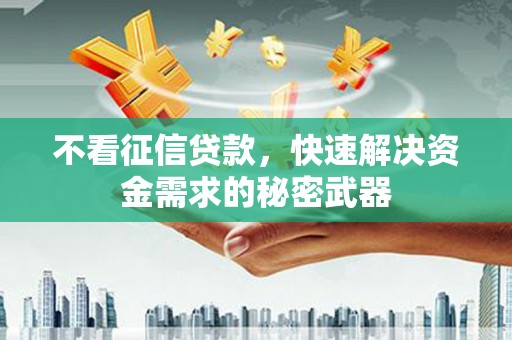 崖州不看征信贷款，快速解决资金需求的秘密武器