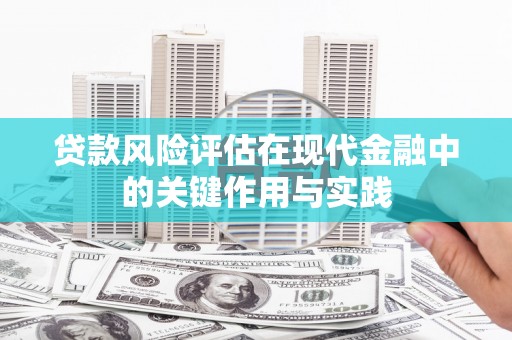 崖州贷款风险评估在现代金融中的关键作用与实践