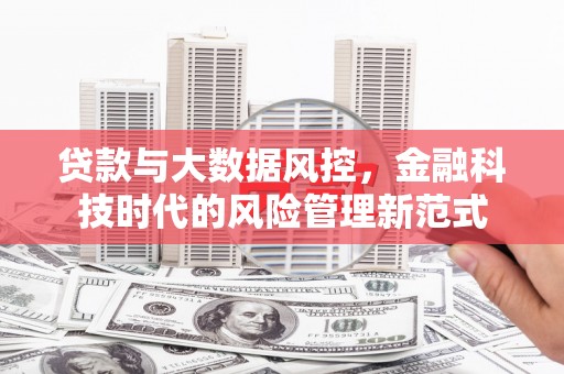 崖州贷款与大数据风控，金融科技时代的风险管理新范式