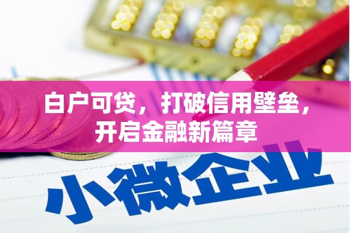 崖州白户可贷，打破信用壁垒，开启金融新篇章