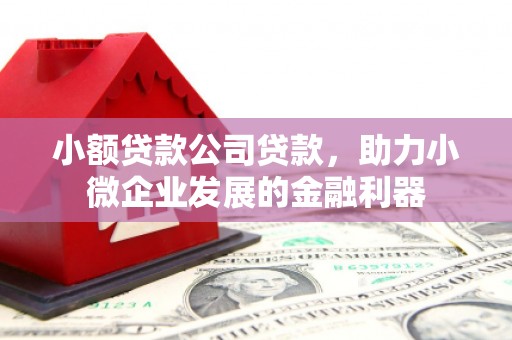 崖州小额贷款公司贷款，助力小微企业发展的金融利器