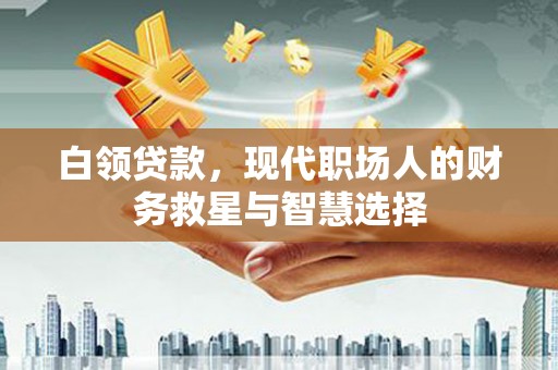 崖州白领贷款，现代职场人的财务救星与智慧选择