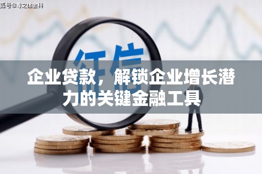 崖州企业贷款，解锁企业增长潜力的关键金融工具