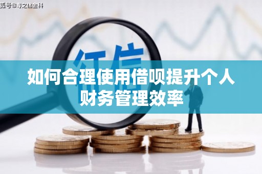 崖州如何合理使用借呗提升个人财务管理效率
