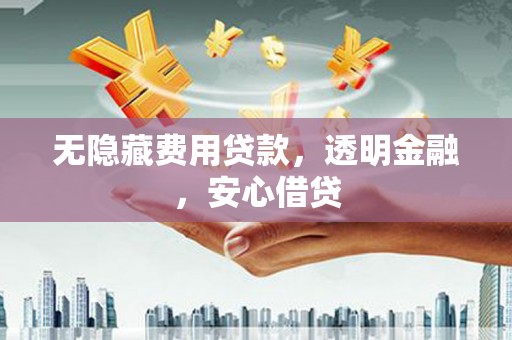 崖州无隐藏费用贷款，透明金融，安心借贷