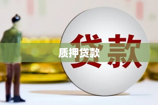 崖州质押贷款