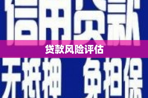 崖州贷款风险评估