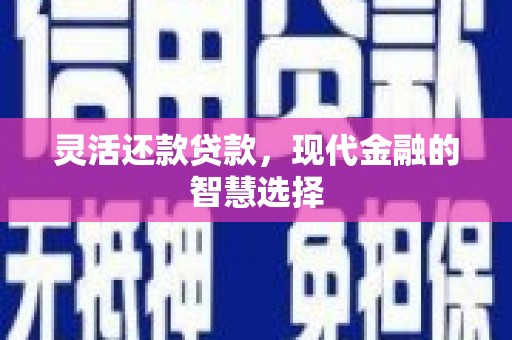 崖州灵活还款贷款，现代金融的智慧选择