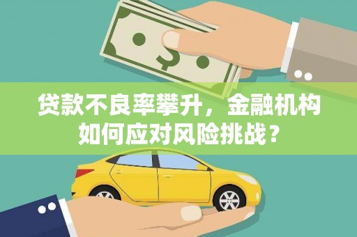 崖州贷款不良率攀升，金融机构如何应对风险挑战？