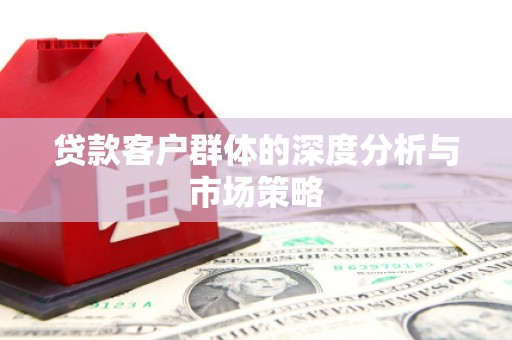 崖州贷款客户群体的深度分析与市场策略