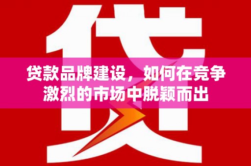 崖州贷款品牌建设，如何在竞争激烈的市场中脱颖而出