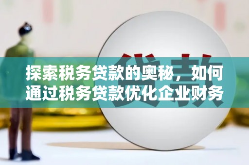 崖州探索税务贷款的奥秘，如何通过税务贷款优化企业财务
