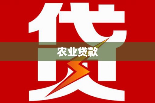 崖州农业贷款