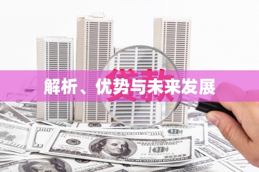 崖州解析、优势与未来发展