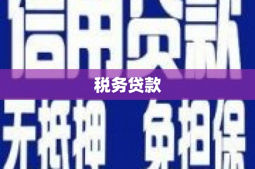 崖州税务贷款