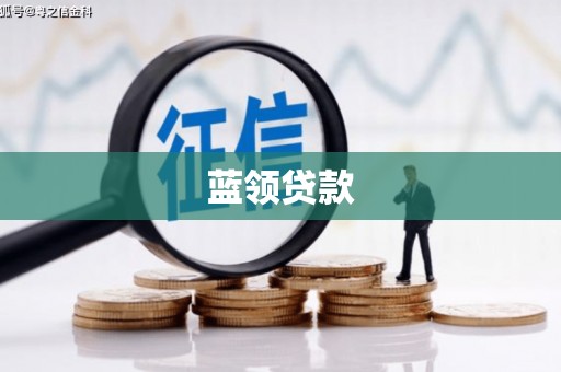崖州蓝领贷款